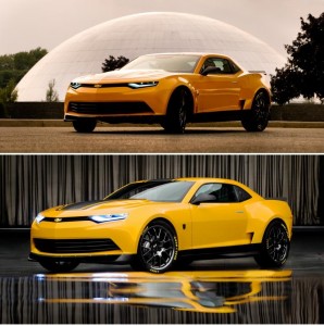 bumblebee-new-2_jpg_crop_display