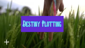 DestinyPlotting