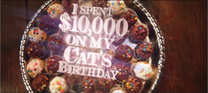 CatBirthday